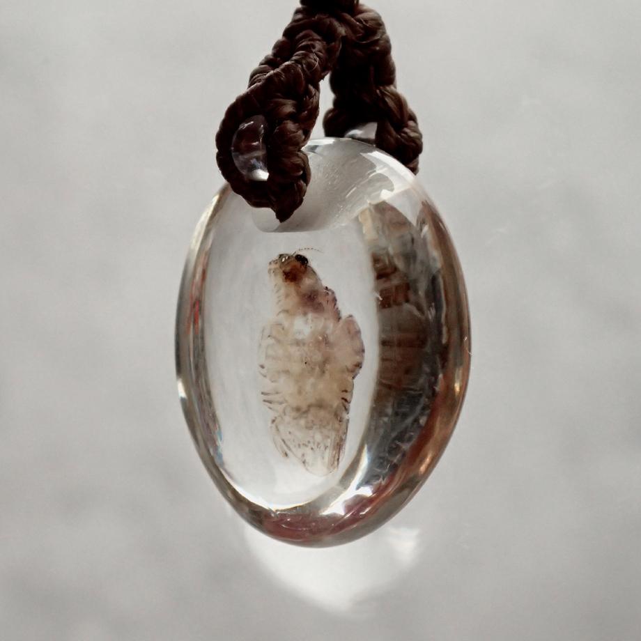 等脚類樹脂封入標本ストラップ | 4枚目