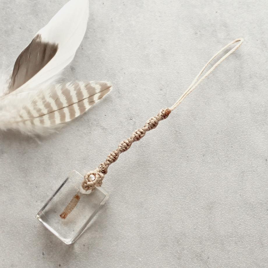 等脚類樹脂封入標本ストラップ | 5枚目