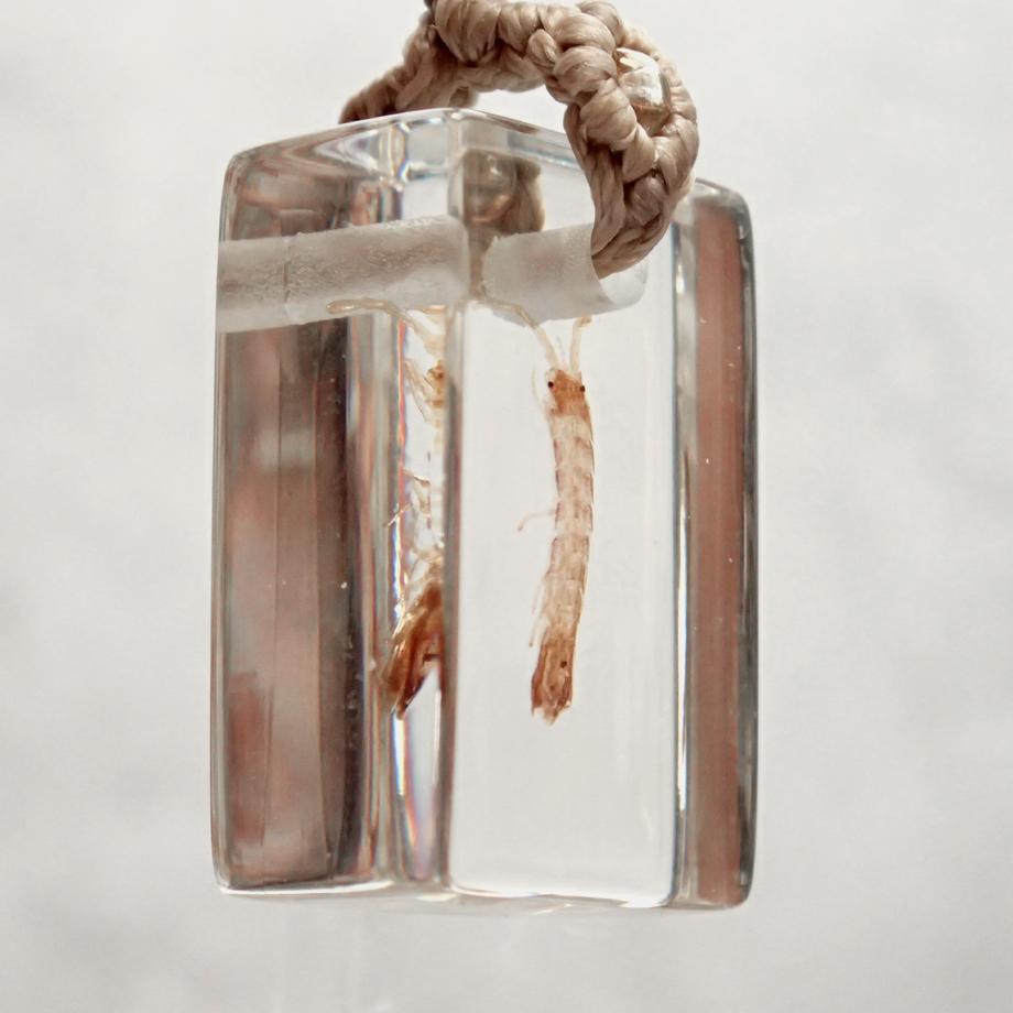 等脚類樹脂封入標本ストラップ | 7枚目