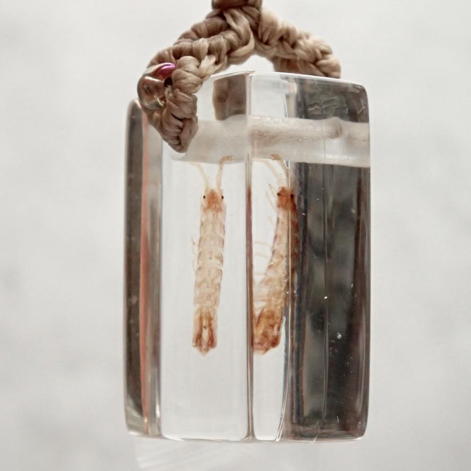 等脚類樹脂封入標本ストラップ | 8枚目