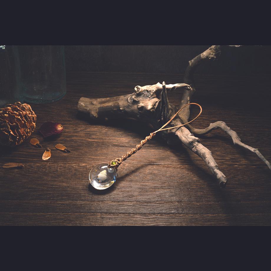 巻貝類樹脂封入標本ストラップ | 6枚目