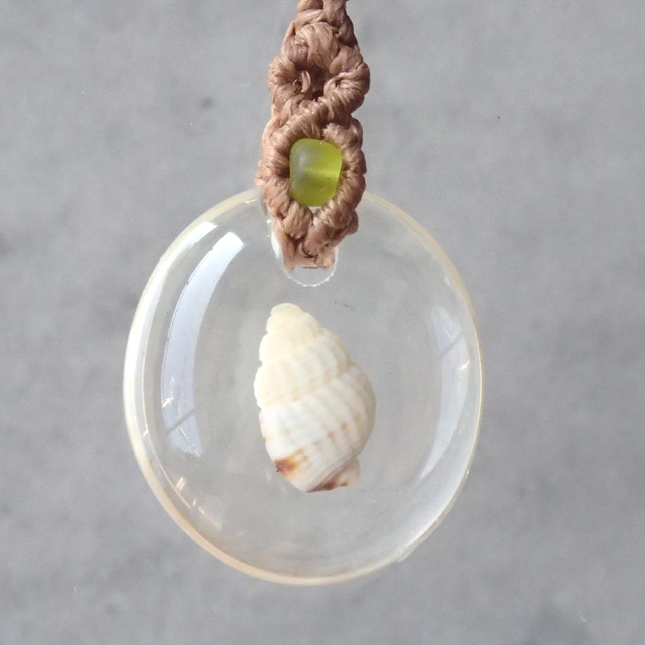 巻貝類樹脂封入標本ストラップ | 2枚目