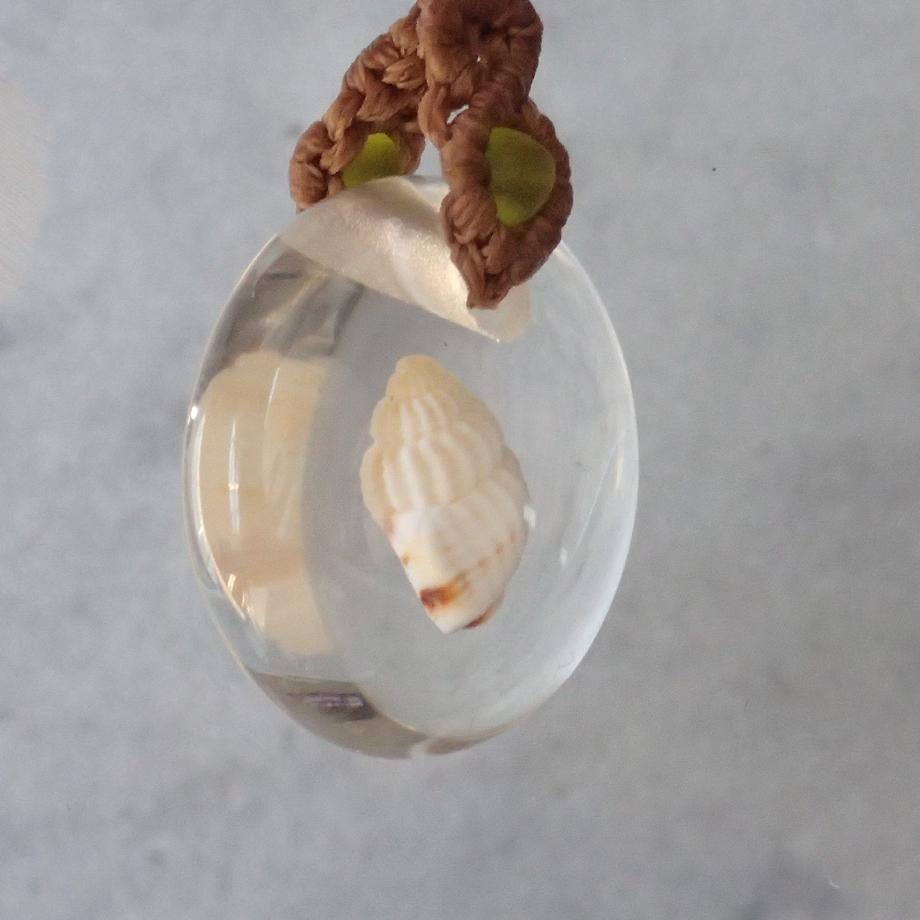 巻貝類樹脂封入標本ストラップ | 3枚目