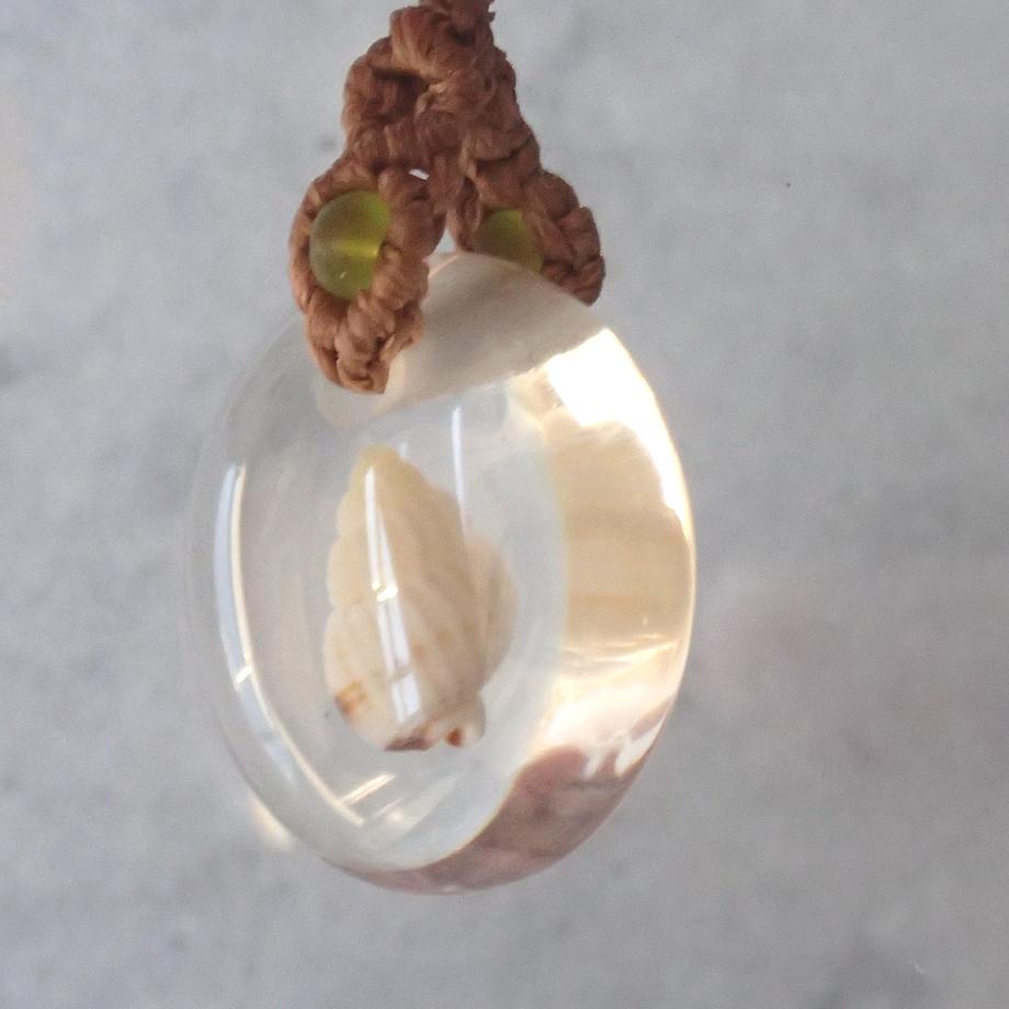 巻貝類樹脂封入標本ストラップ | 4枚目