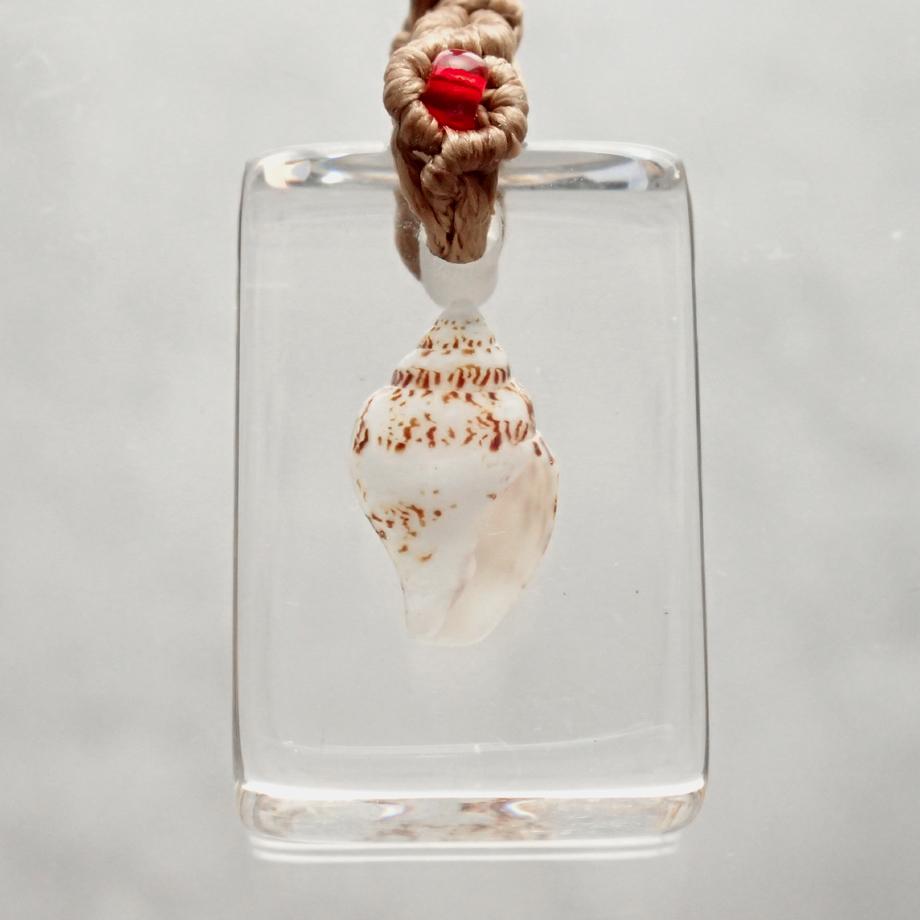 巻貝類樹脂封入標本ストラップ | 2枚目