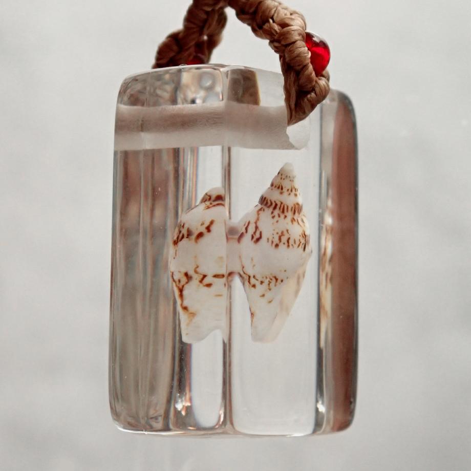 巻貝類樹脂封入標本ストラップ | 3枚目