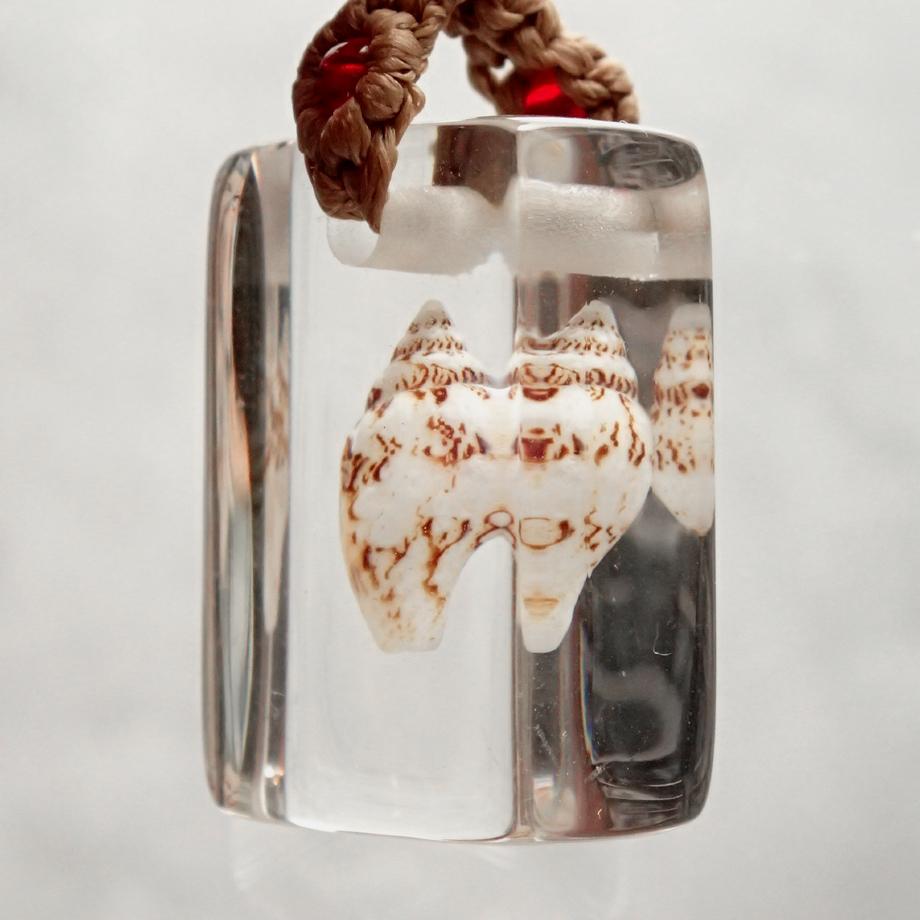 巻貝類樹脂封入標本ストラップ | 4枚目