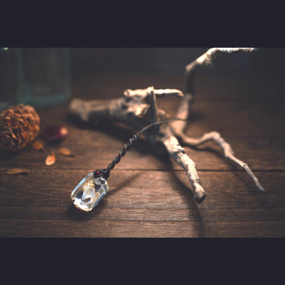 巻貝類樹脂封入標本ストラップ | 10枚目