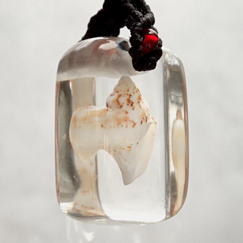 巻貝類樹脂封入標本ストラップ | 7枚目