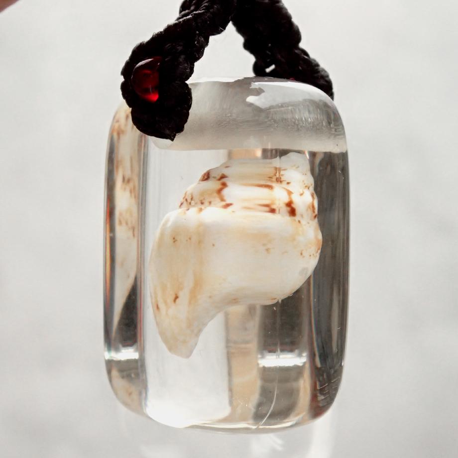 巻貝類樹脂封入標本ストラップ | 8枚目