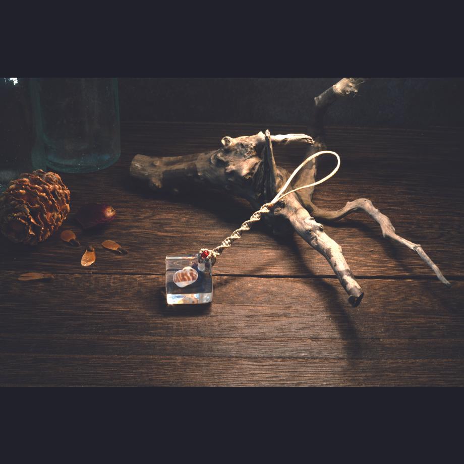 巻貝類樹脂封入標本ストラップ | 10枚目