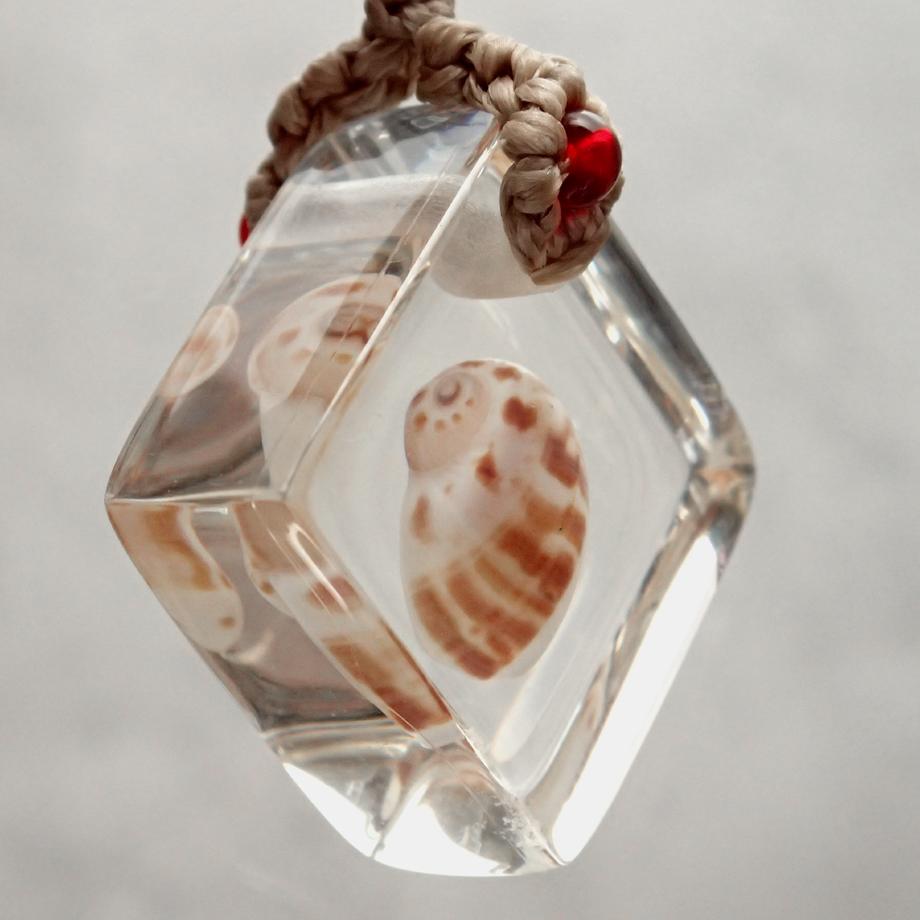 巻貝類樹脂封入標本ストラップ | 7枚目