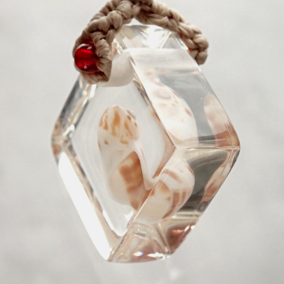 巻貝類樹脂封入標本ストラップ | 8枚目