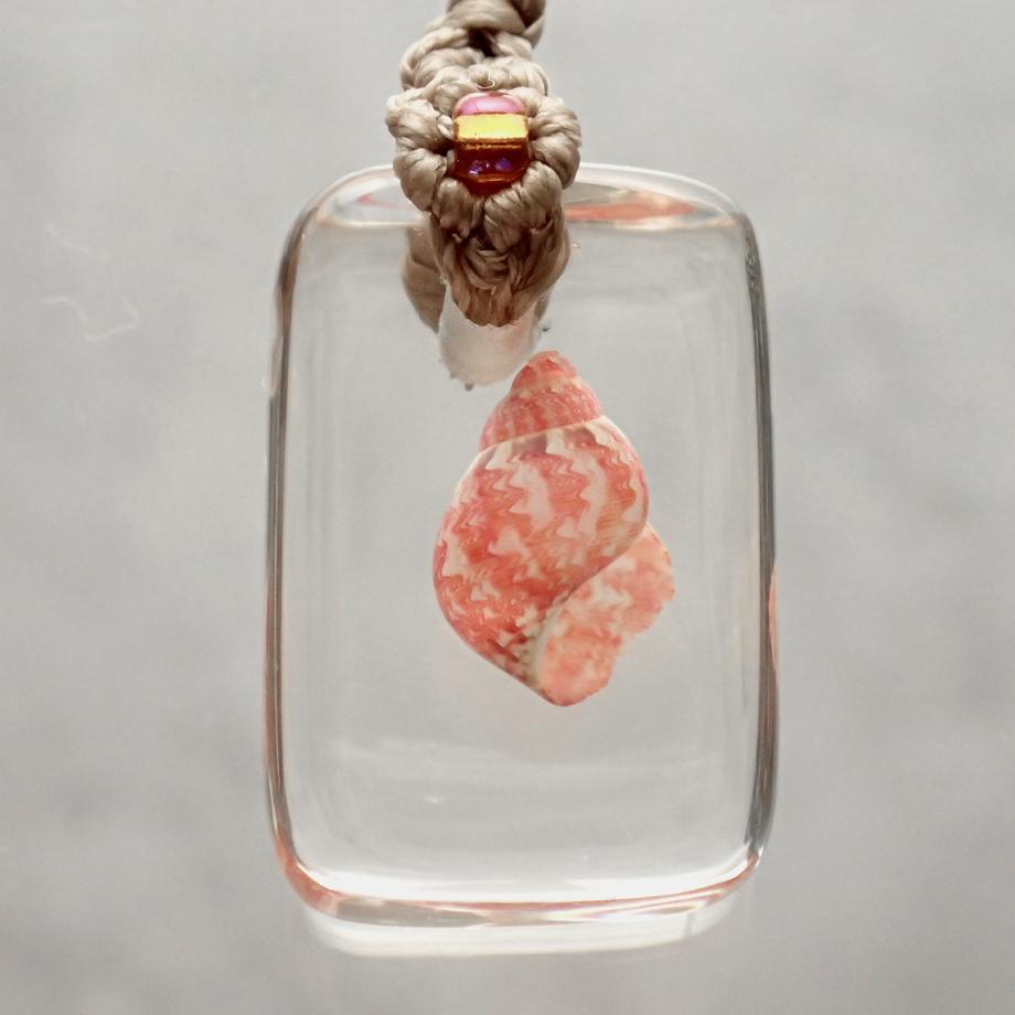 巻貝類樹脂封入標本ストラップ | 6枚目