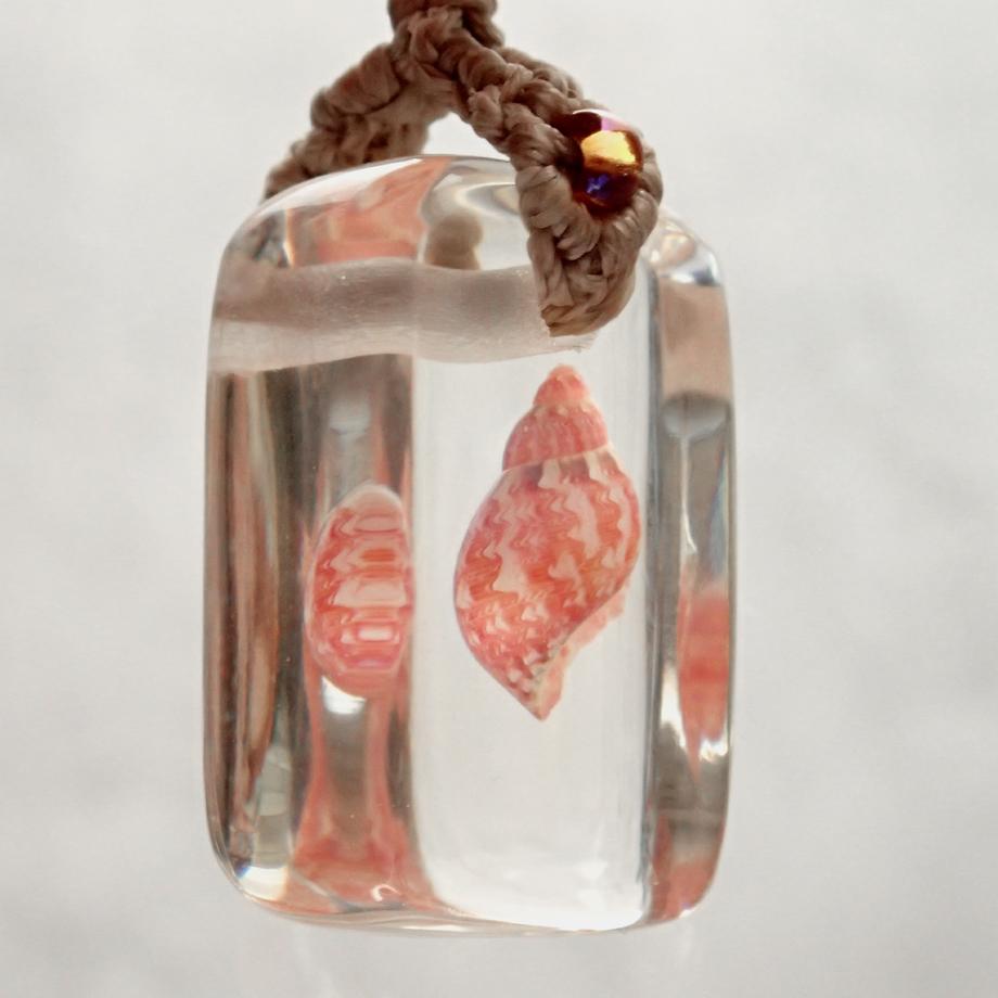 巻貝類樹脂封入標本ストラップ | 7枚目