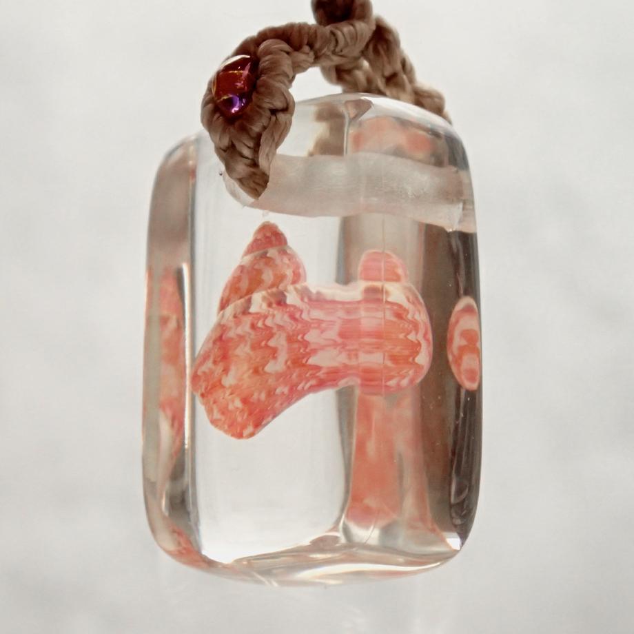 巻貝類樹脂封入標本ストラップ | 8枚目