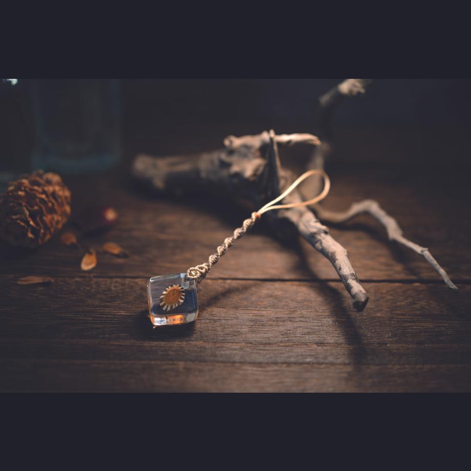 カサガイ類樹脂封入標本ストラップ | 5枚目