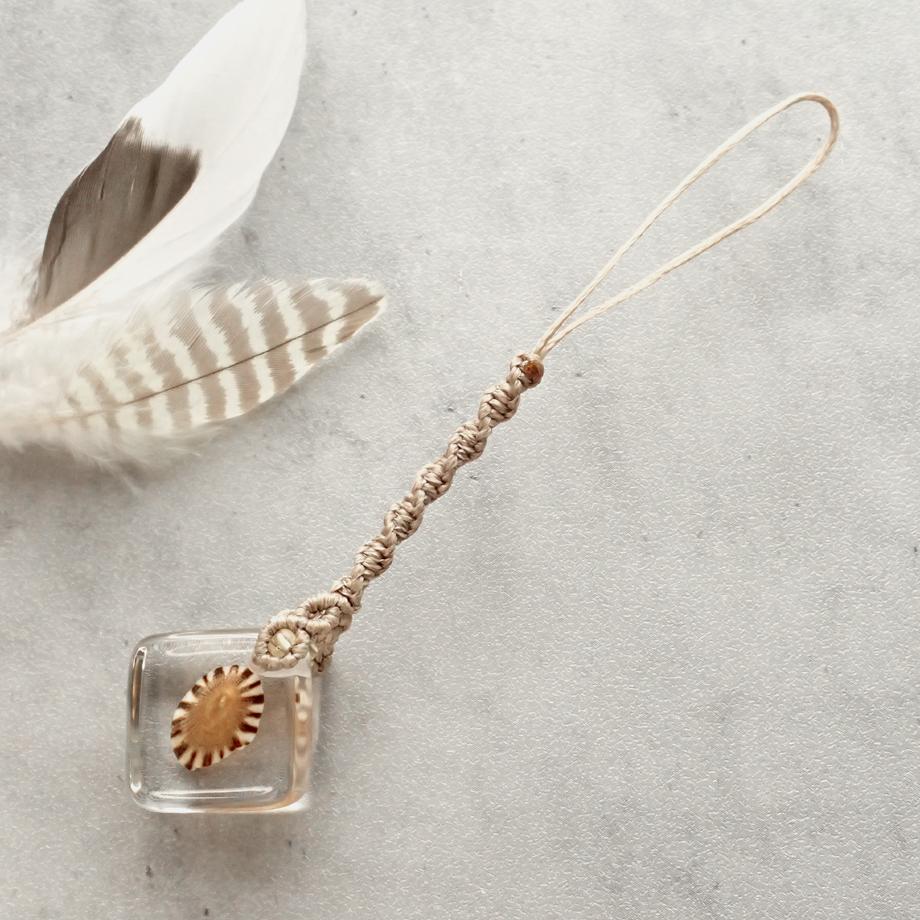 カサガイ類樹脂封入標本ストラップ | 6枚目