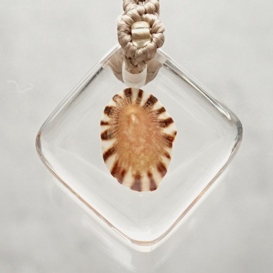 カサガイ類樹脂封入標本ストラップ | 7枚目