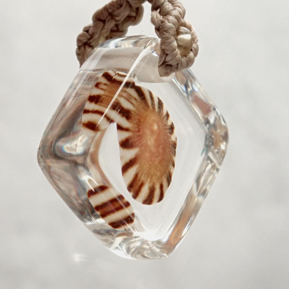 カサガイ類樹脂封入標本ストラップ | 8枚目