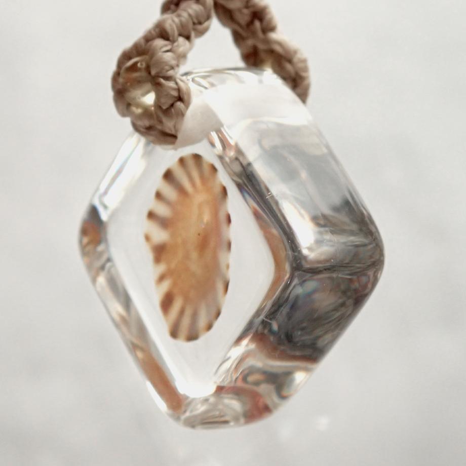 カサガイ類樹脂封入標本ストラップ | 9枚目