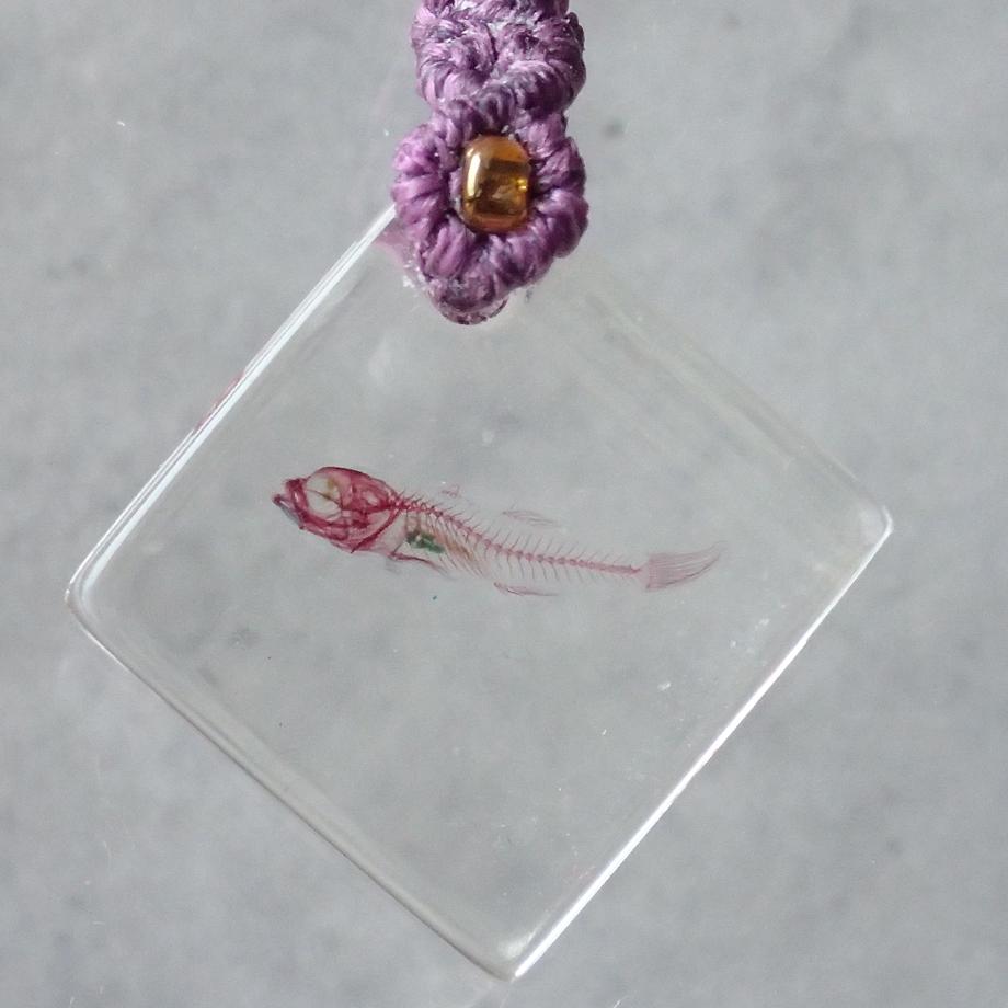 魚類単色染色樹脂封入標本ストラップ | 2枚目