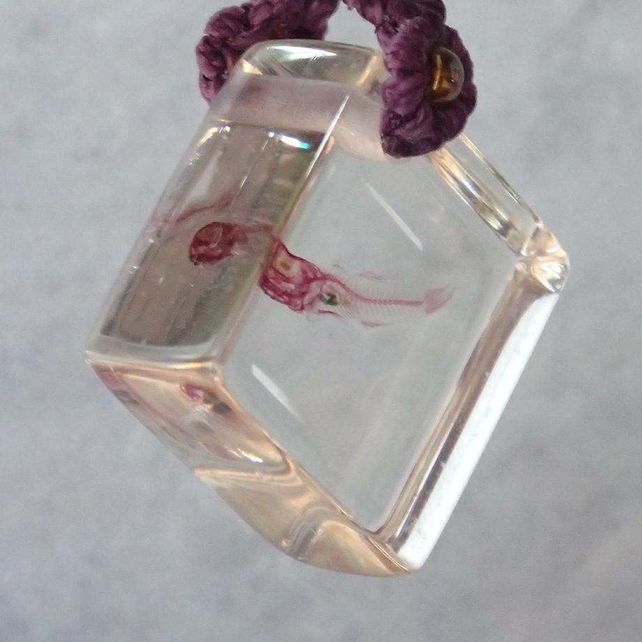 魚類単色染色樹脂封入標本ストラップ | 3枚目