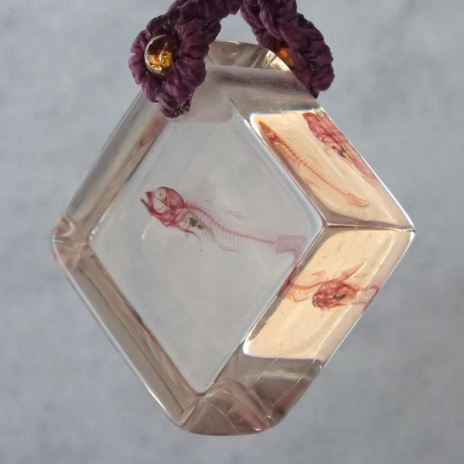 魚類単色染色樹脂封入標本ストラップ | 4枚目