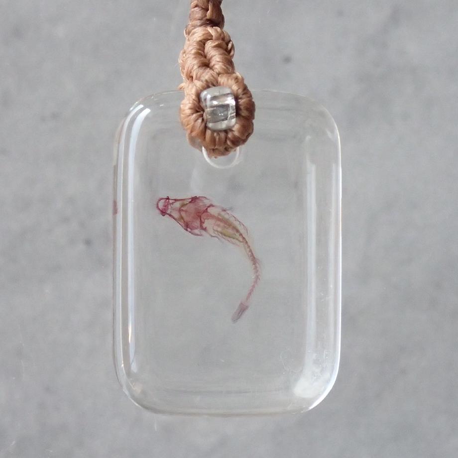 魚類単色染色樹脂封入標本ストラップ | 2枚目