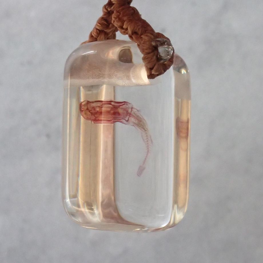 魚類単色染色樹脂封入標本ストラップ | 3枚目