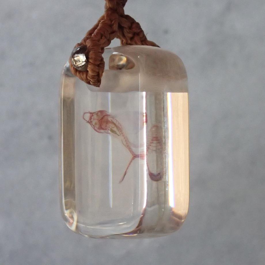 魚類単色染色樹脂封入標本ストラップ | 4枚目