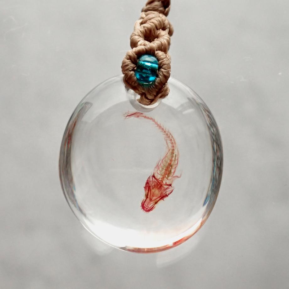 魚類単色染色樹脂封入標本ストラップ | 2枚目