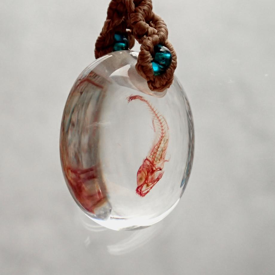 魚類単色染色樹脂封入標本ストラップ | 3枚目