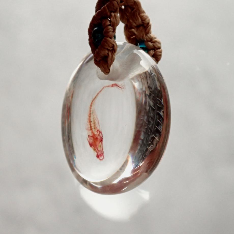 魚類単色染色樹脂封入標本ストラップ | 4枚目