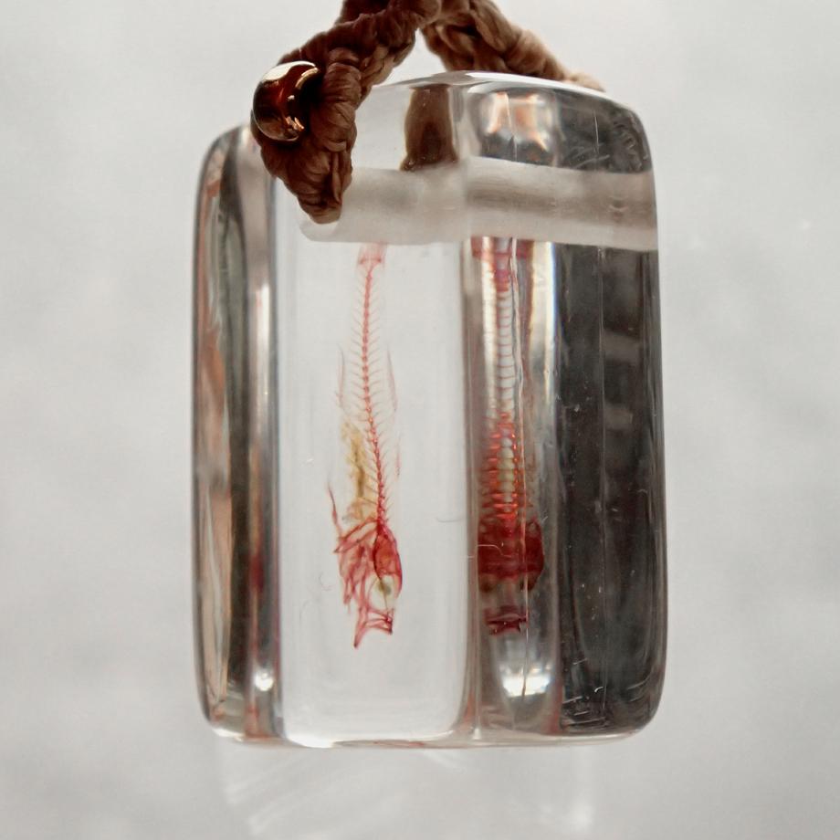 魚類単色染色樹脂封入標本ストラップ | 4枚目