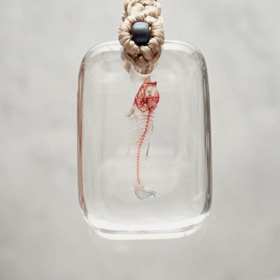 魚類単色染色樹脂封入標本ストラップ | 6枚目