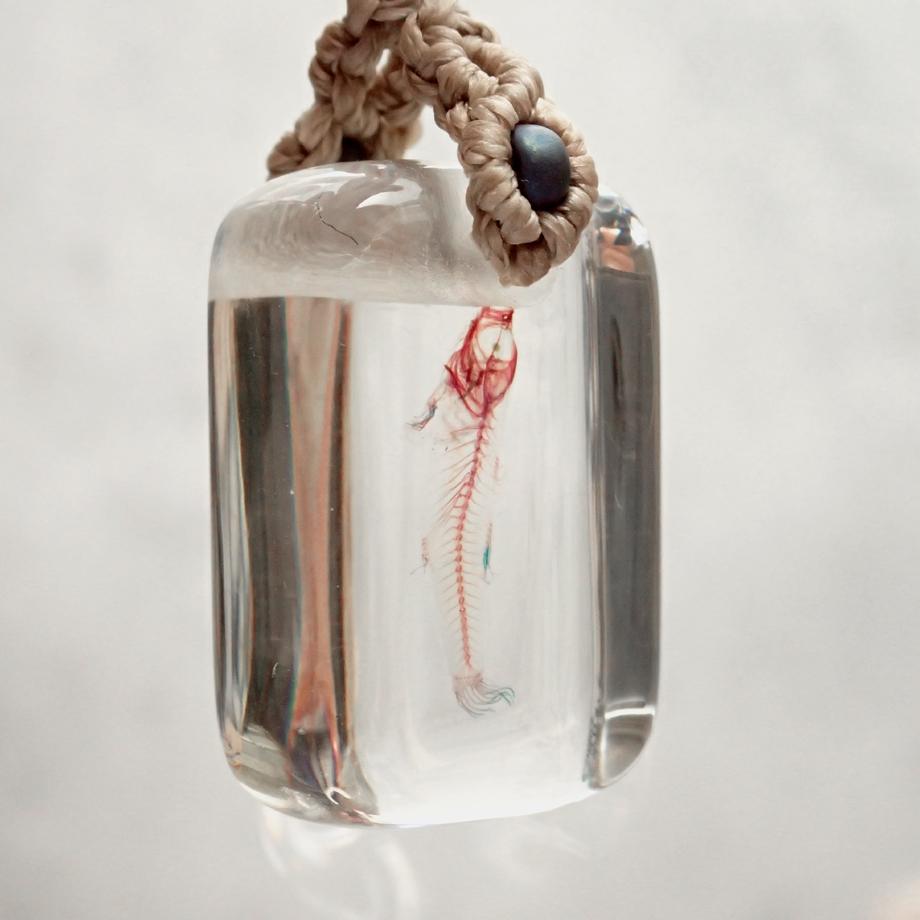 魚類単色染色樹脂封入標本ストラップ | 7枚目