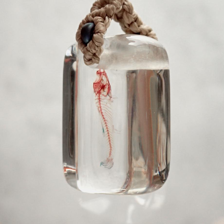 魚類単色染色樹脂封入標本ストラップ | 8枚目