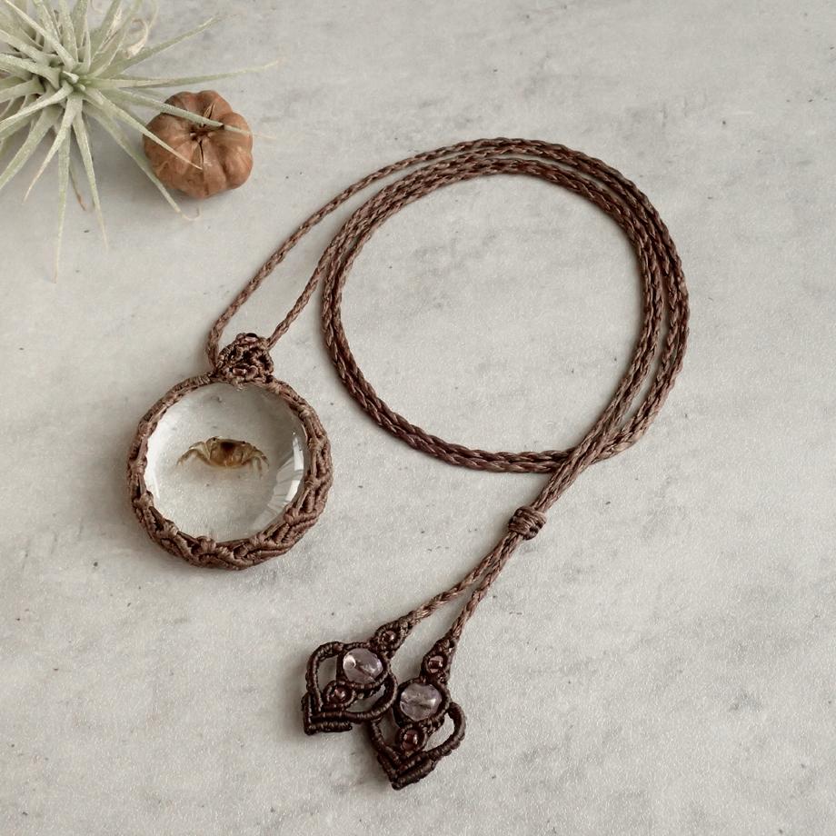 カニ類樹脂封入標本ネックレス | 5枚目