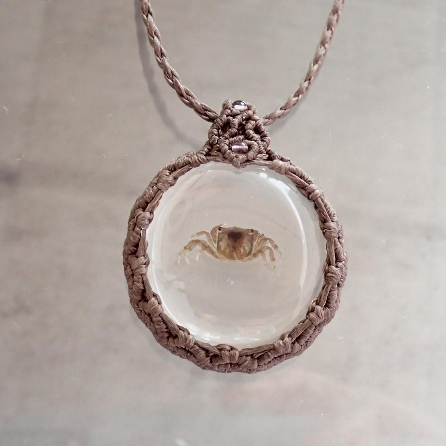 カニ類樹脂封入標本ネックレス | 6枚目