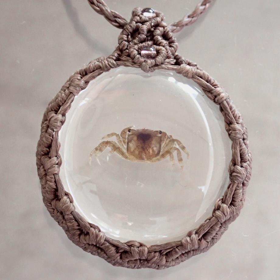 カニ類樹脂封入標本ネックレス | 7枚目