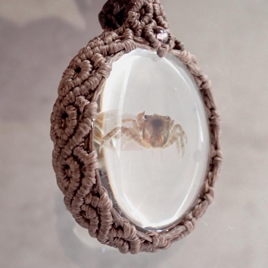 カニ類樹脂封入標本ネックレス | 8枚目