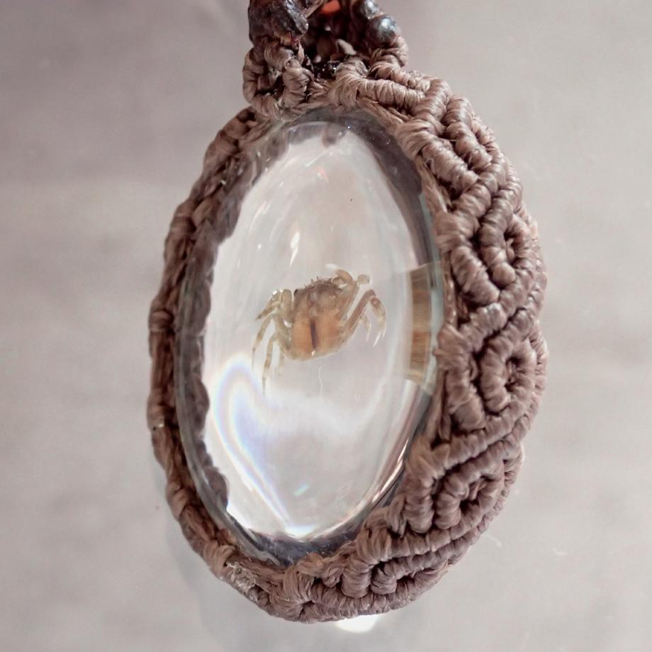 カニ類樹脂封入標本ネックレス | 9枚目