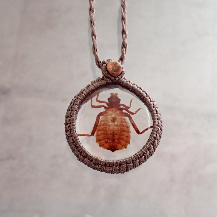 コオニヤンマ樹脂封入標本ネックレス | 6枚目