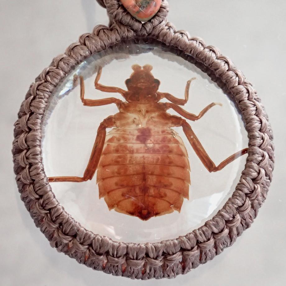 コオニヤンマ樹脂封入標本ネックレス | 7枚目