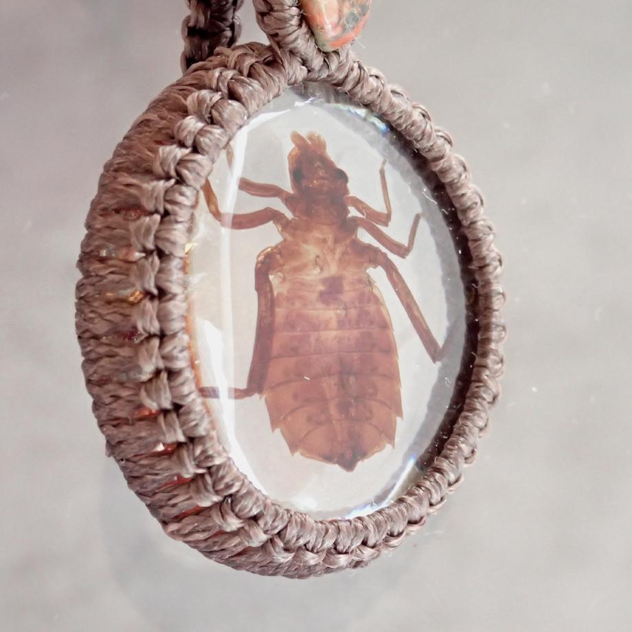 コオニヤンマ樹脂封入標本ネックレス | 8枚目