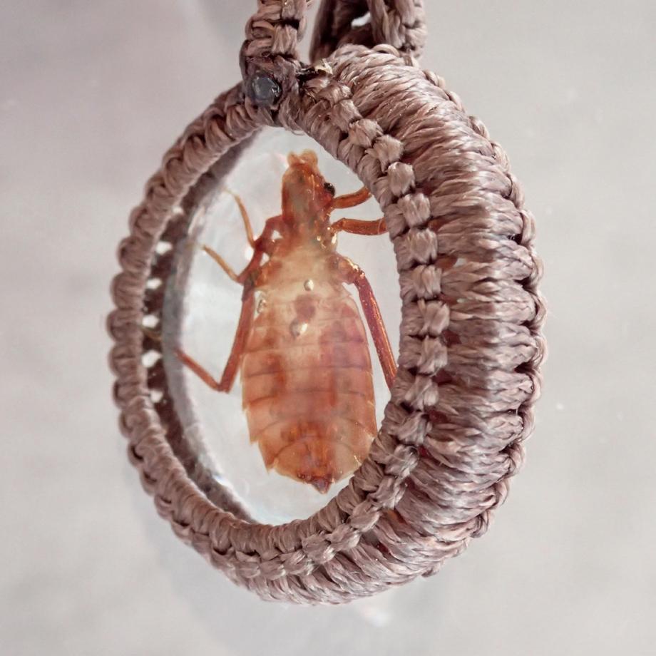 コオニヤンマ樹脂封入標本ネックレス | 9枚目