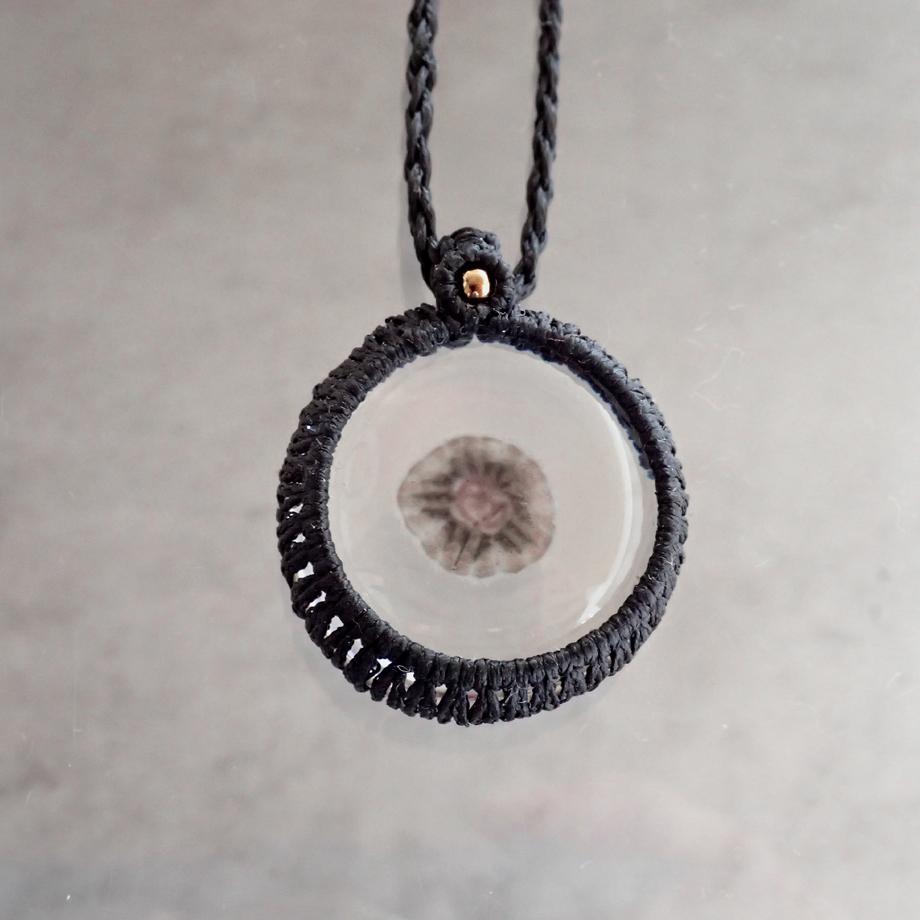 ハスノハカシパン樹脂封入標本ネックレス | 2枚目