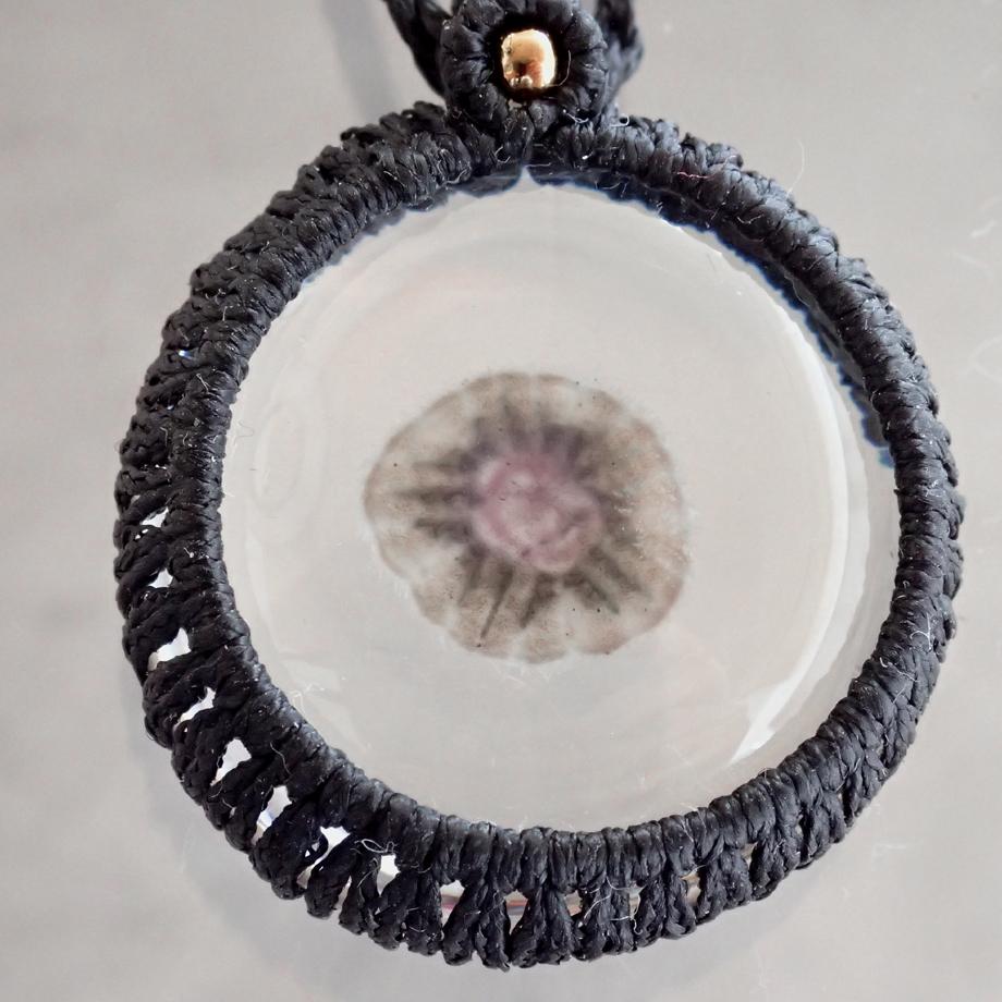 ハスノハカシパン樹脂封入標本ネックレス | 3枚目