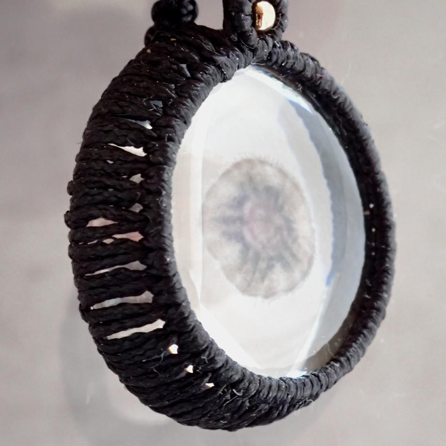 ハスノハカシパン樹脂封入標本ネックレス | 4枚目